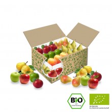 Große BIO Buerobox Apfel Birne